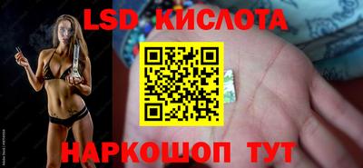 прущие грибы Кингисепп