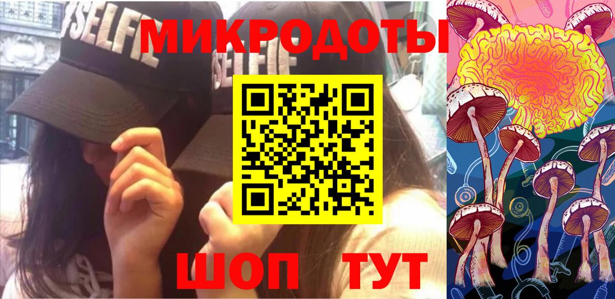 Псилоцибиновые грибы Psilocybe Лениногорск